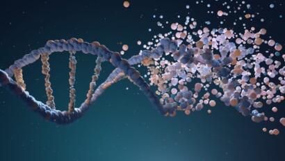Fitness e genetica: come calcolare il potenziale genetico