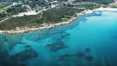 Un viaggio nelle Blue Zones svelando i segreti della longevità e della vita...