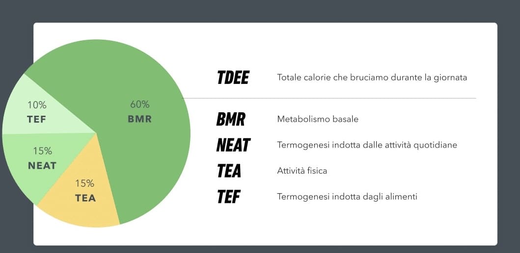 Tdee e come calcolarlo