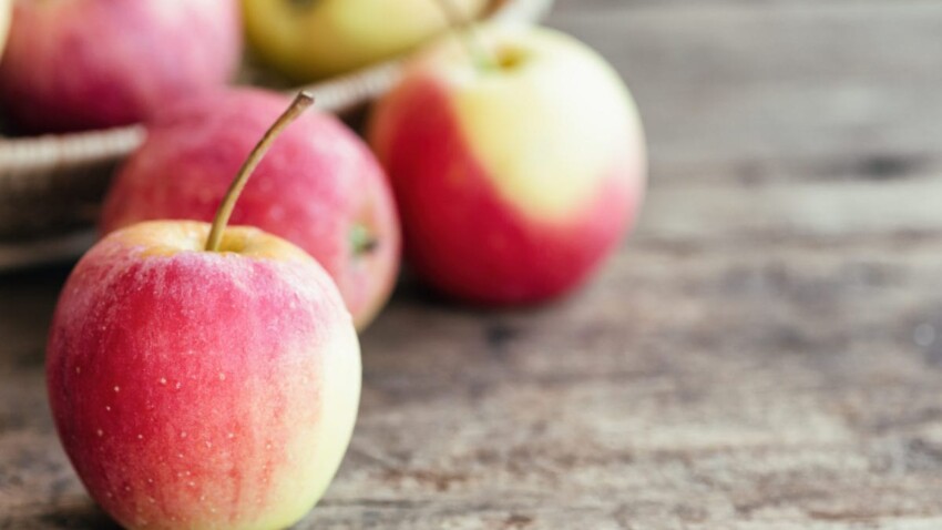 Egcg_e_alimentazione