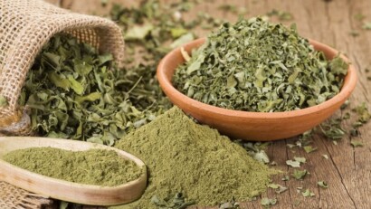 Benefici della Moringa, l’Albero della Vita.