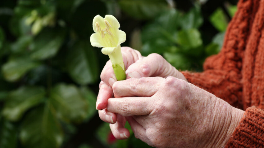 Cos e l artite reumatoide