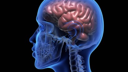 Creatina e cervello: benefici della creatina a livello cerebrale