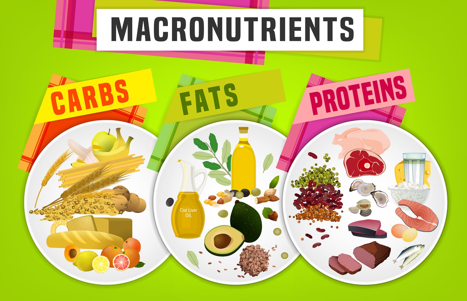Distribuzione dei macronutrienti carboidrati proteine e grassi