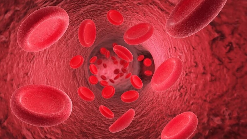 Falsi miti sul pesce