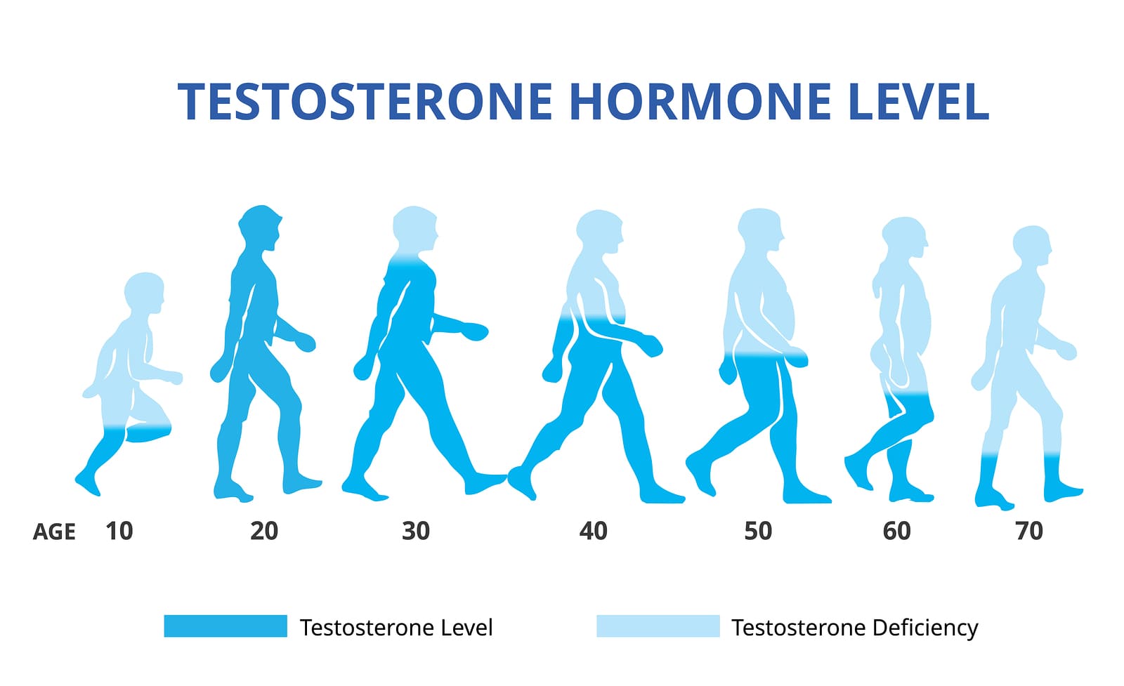 Il testosterone