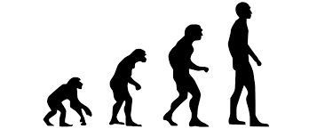 l'evoluzione_del_dolore