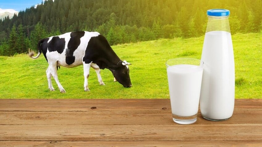 Le proteine del latte sono sostanze contenute nel latte