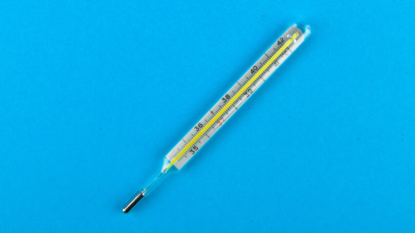 Muscoli e temperatura corporea