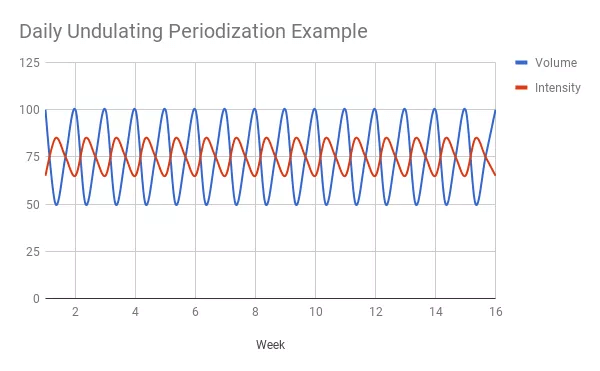 Periodizzazione ondulata giornaliera daily undulating periodization