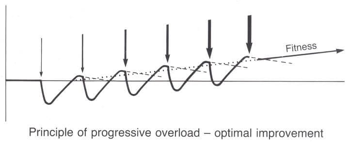 Progressione lineare o periodizzazione