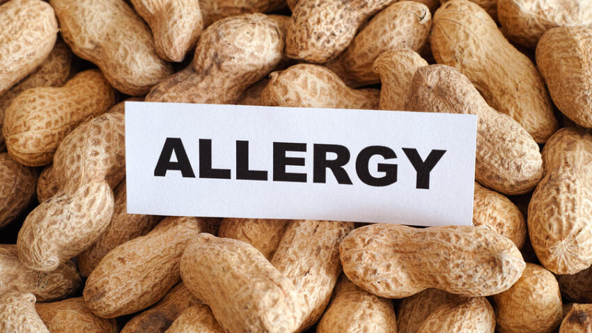 Quali alimenti causano allergie alimentari