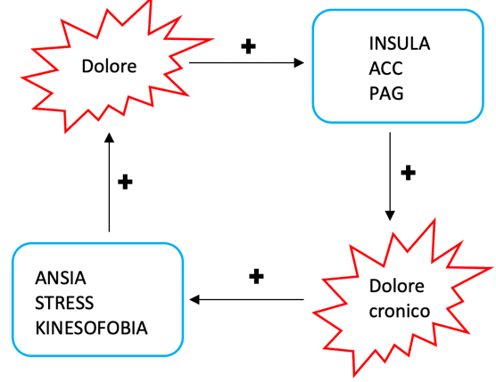 Sensibilizzazione centrale