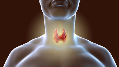 Soia e tiroide: quali effetti ha la soia sulle funzioni tiroidee?