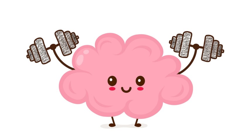 Stoccaggio della creatina a livello cerebrale