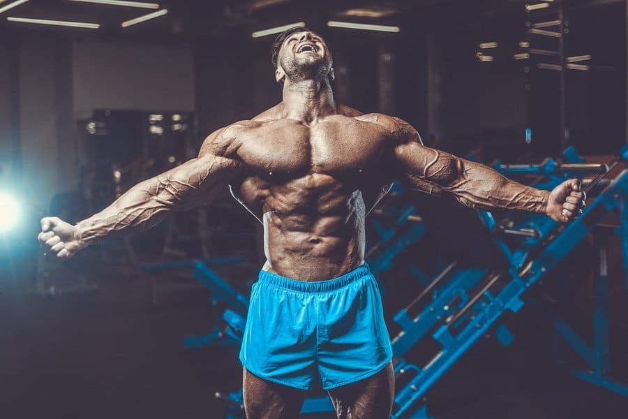 Tipo di allenamento e fibre muscolari