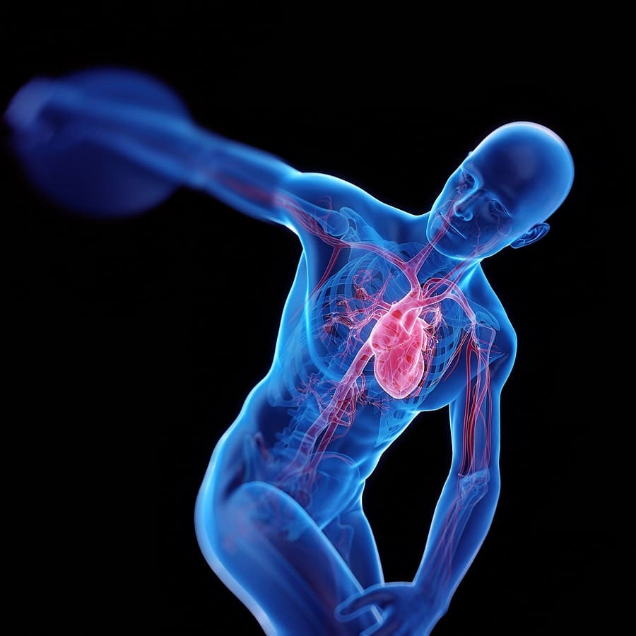 Variabili e struttura del protocollo di allenamento
