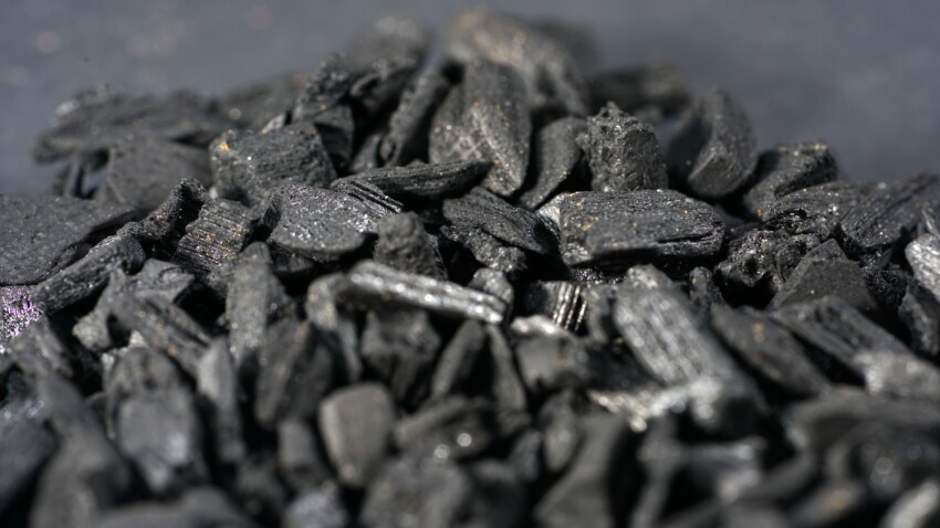 Carbone attivo per la disintossicazione