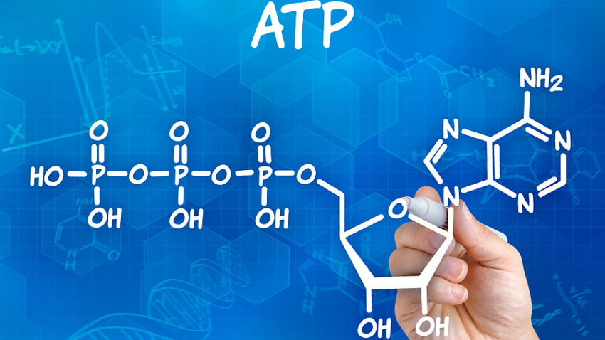 Hand with pen drawing the chemical formula of atp