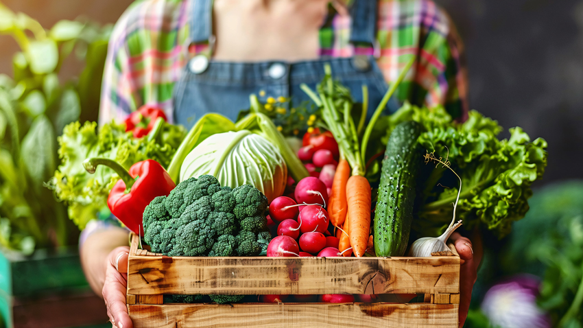 Dieta vegana costosa